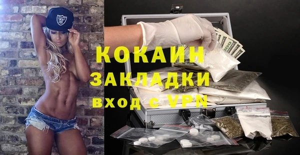 стафф Алзамай