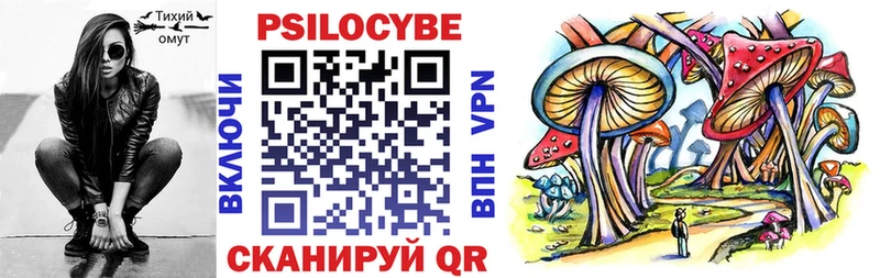 Галлюциногенные грибы Psilocybine cubensis  Ардатов 